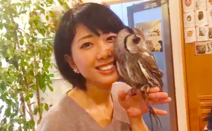 短期間で英会話も上達しました