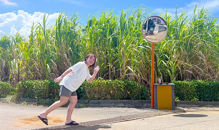 友達も沢山できて楽しいことも沢山ある!