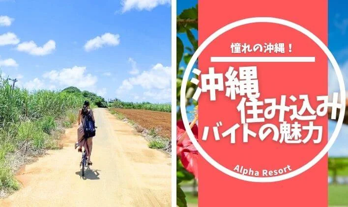 沖縄コラム