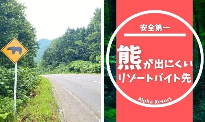 クマが出にくいリゾートバイト先を選ぶには？安心して働けるエリアの見分け方