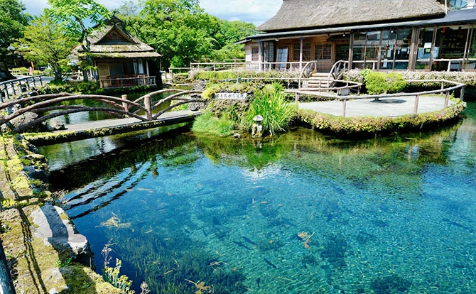 忍野八海
