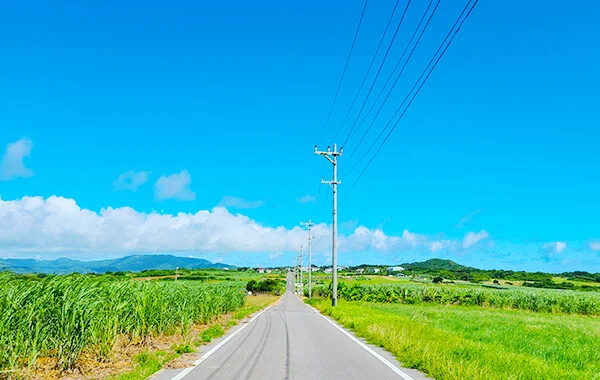 求人メイン