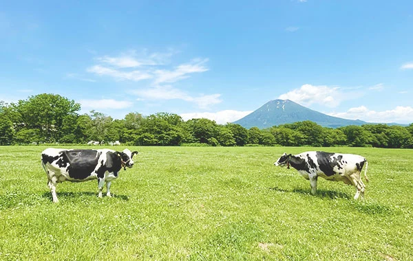 求人メイン