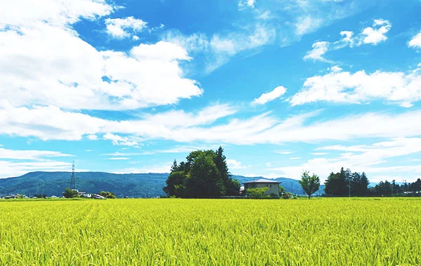 量環境画像（右下の画像）