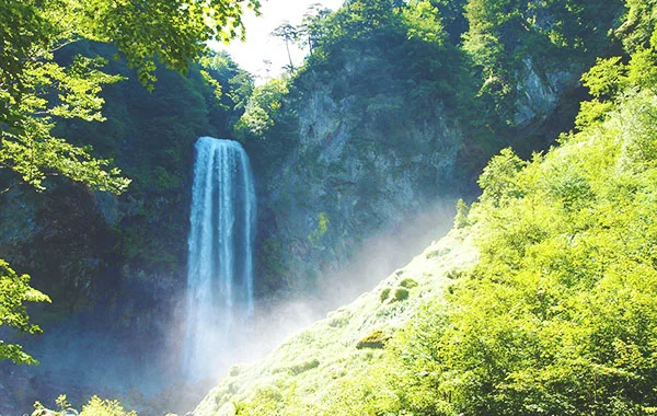 求人メイン
