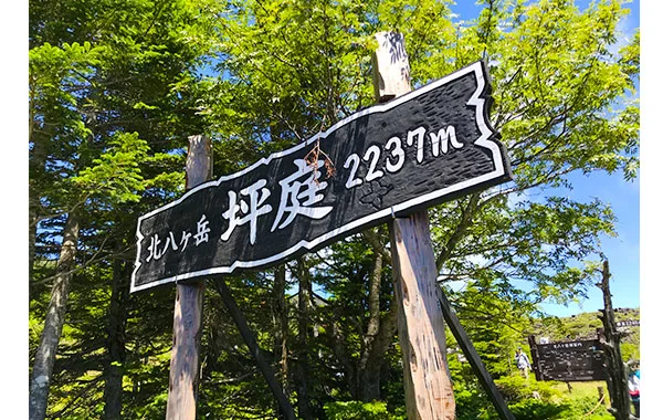 求人メイン
