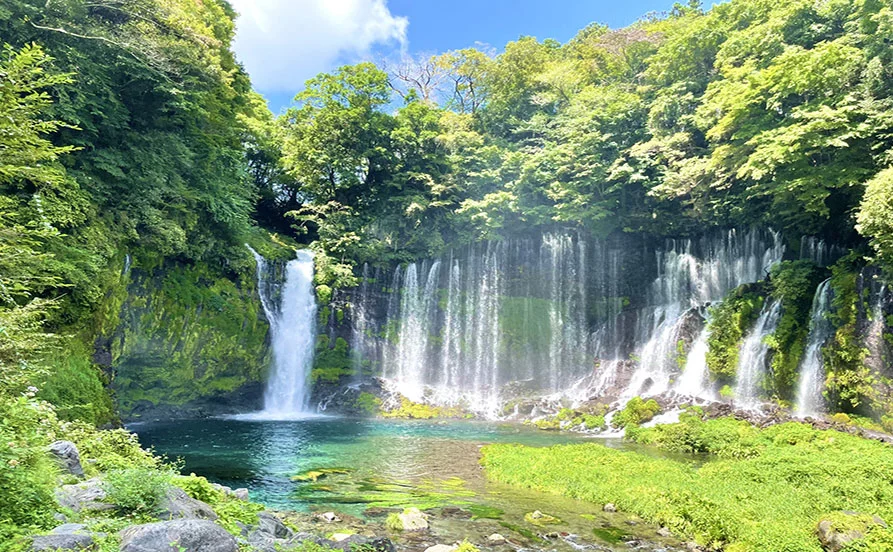 求人メイン