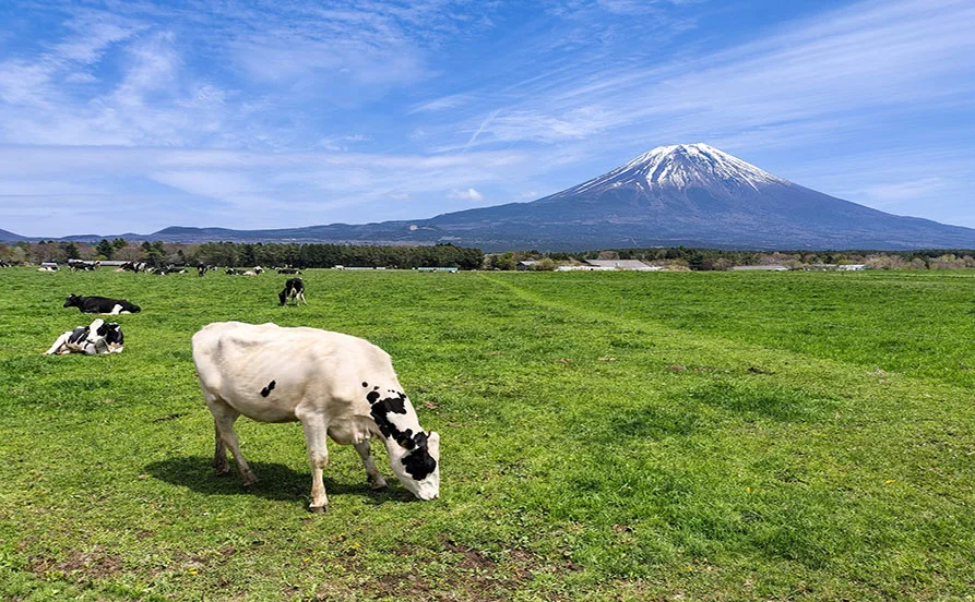 ＼高時給／富士山を望むリゾートホテル🗻うれしい特典！買い物送迎あり