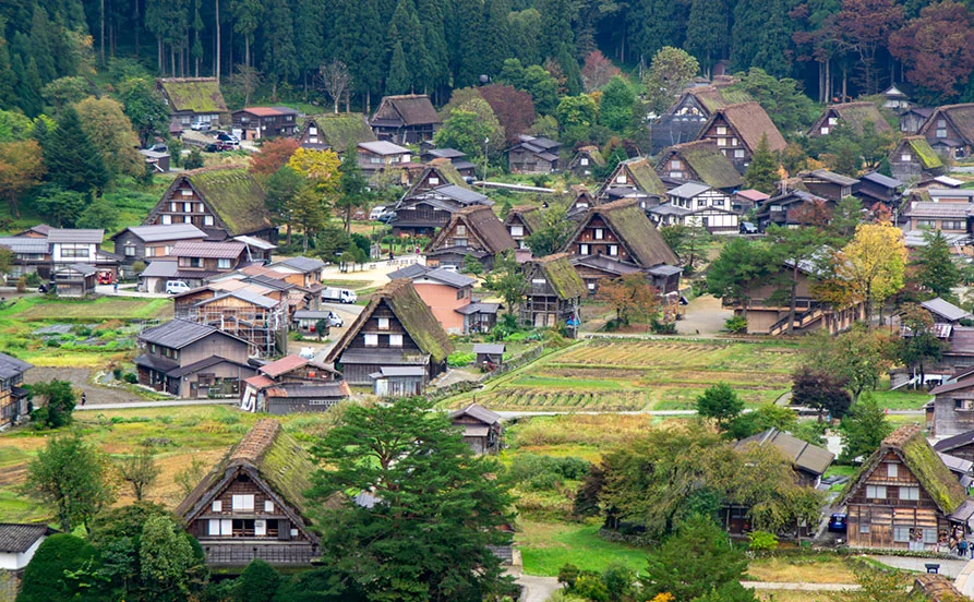 求人メイン