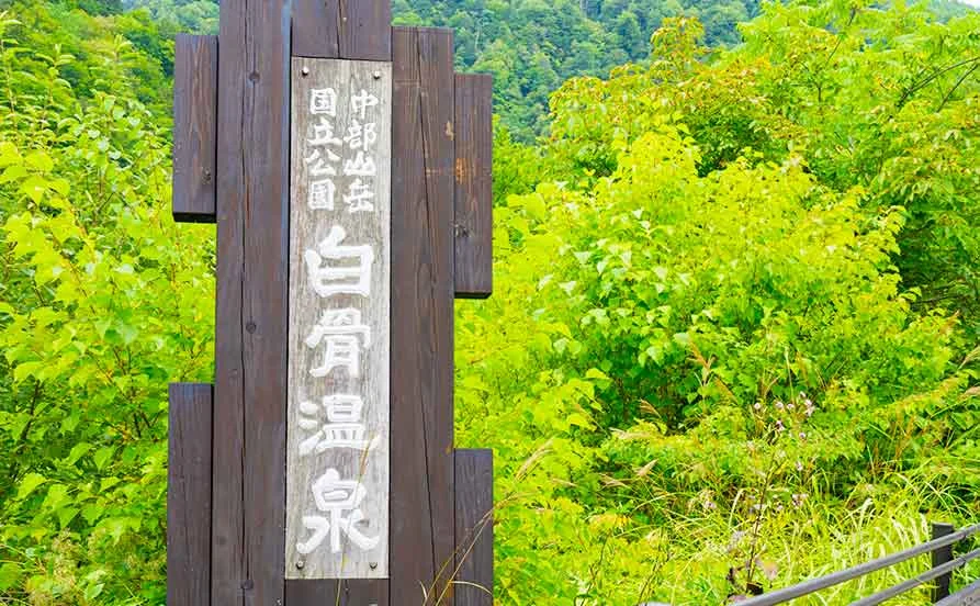 求人メイン