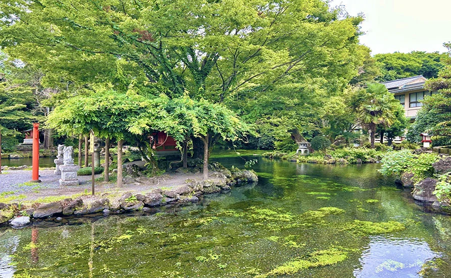 求人メイン