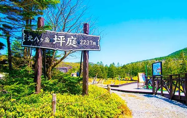求人メイン