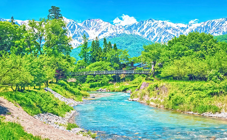 求人メイン