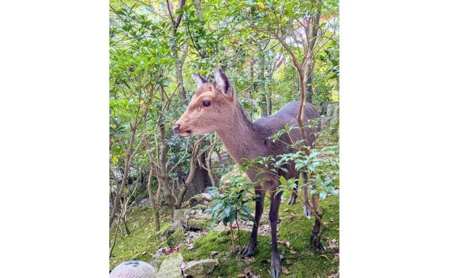求人メイン