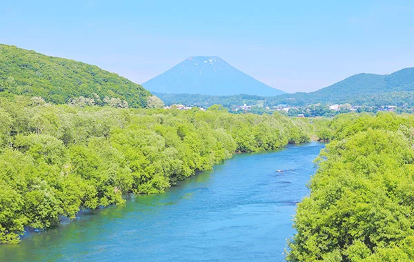 求人メイン