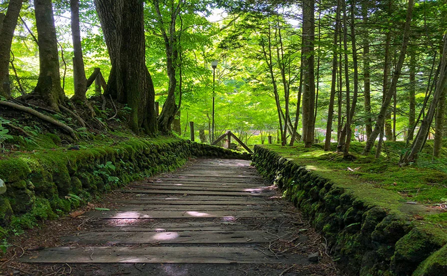 求人メイン
