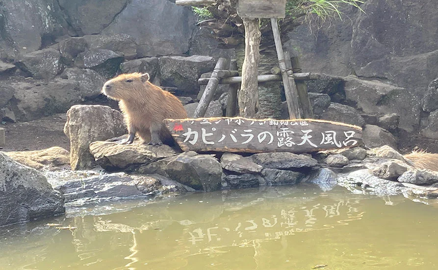 求人メイン