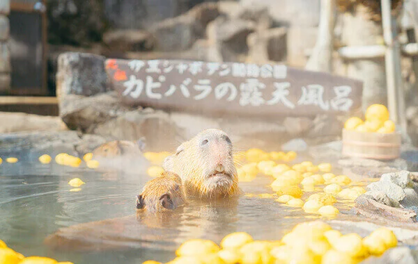求人メイン