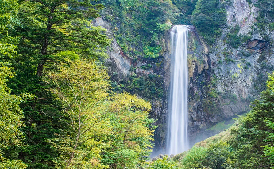 量環境画像（右下の画像）