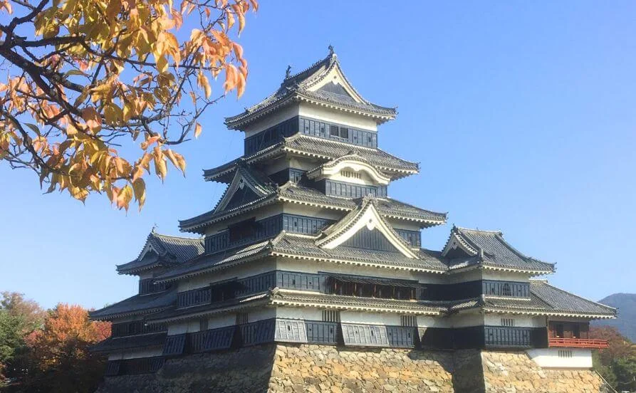 求人メイン