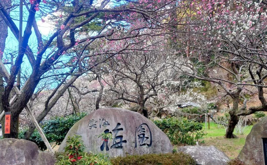 求人メイン