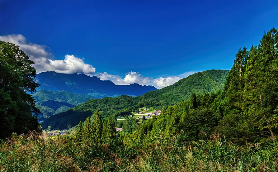 ＼自然好き必見🌿／北信濃の絶景に囲まれた癒しの山里で働こう！寮費無料・客室タイプ✨