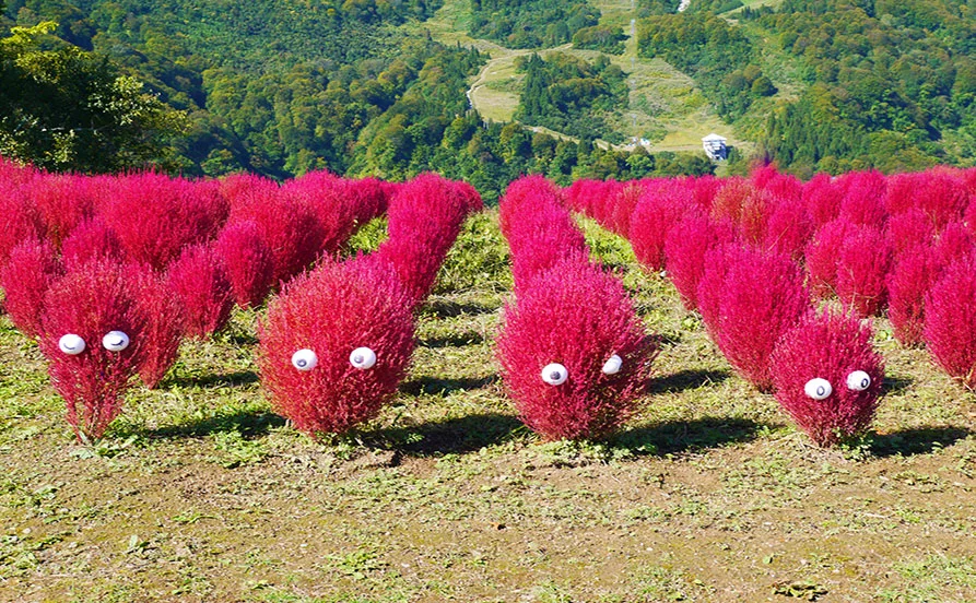 求人メイン