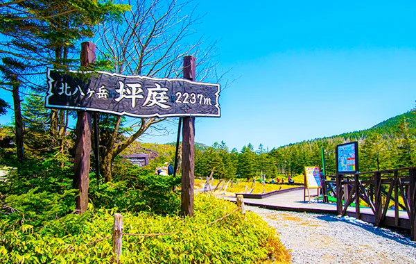 求人メイン
