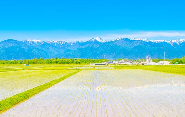 量環境画像（右下の画像）