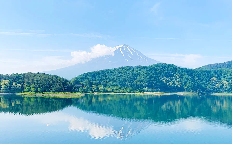 求人メイン