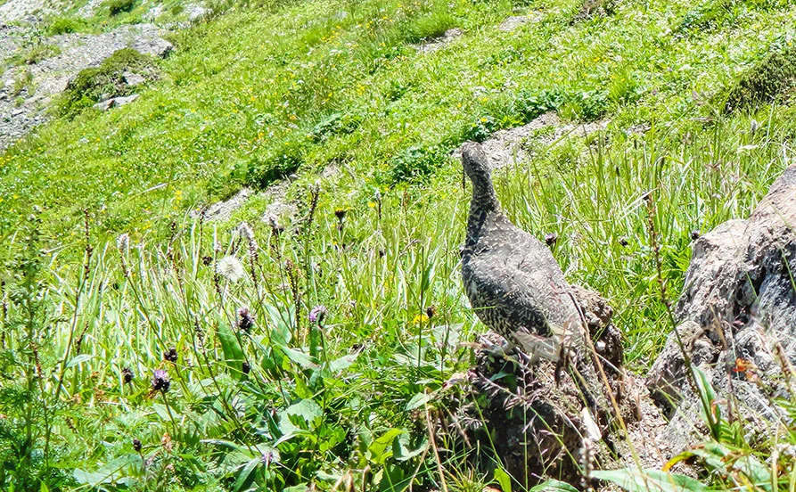 求人メイン