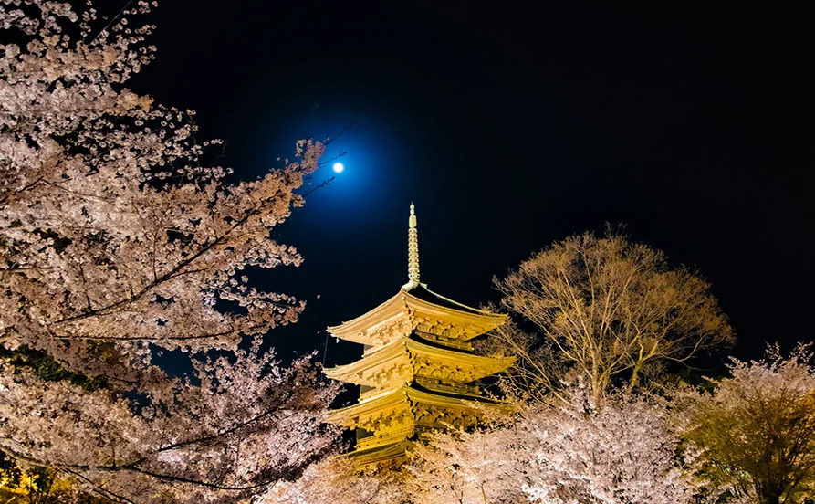 求人メイン