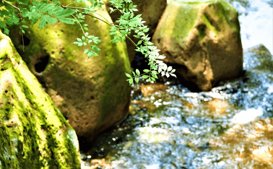 求人メイン