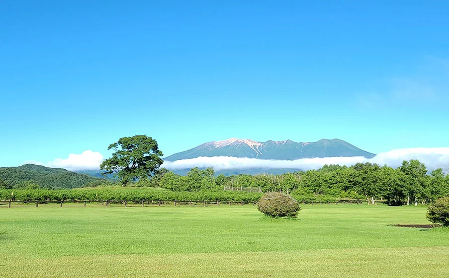 量環境画像（右下の画像）