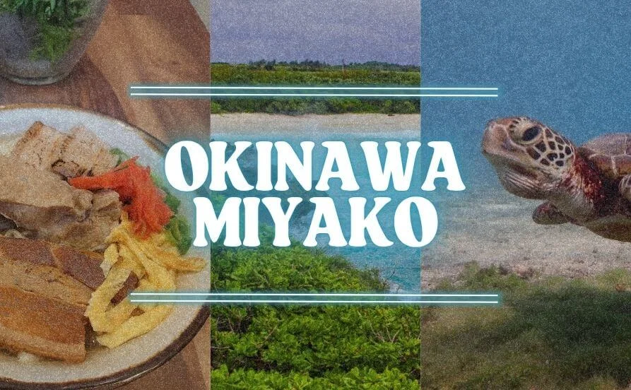 【人間関係◎】満了率＆延長率も高く安心！個室寮はお風呂・トイレ付きで快適生活✨車持込ＯＫなので移動も楽々！