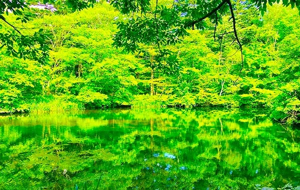量環境画像（右下の画像）