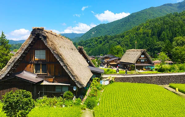求人メイン
