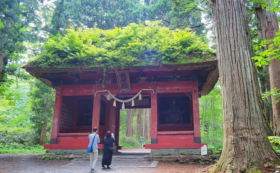 求人メイン