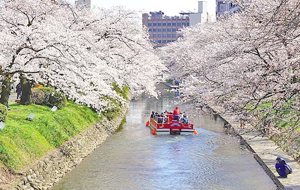 求人メイン