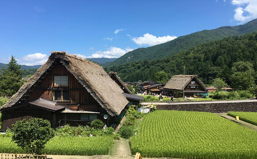 求人メイン
