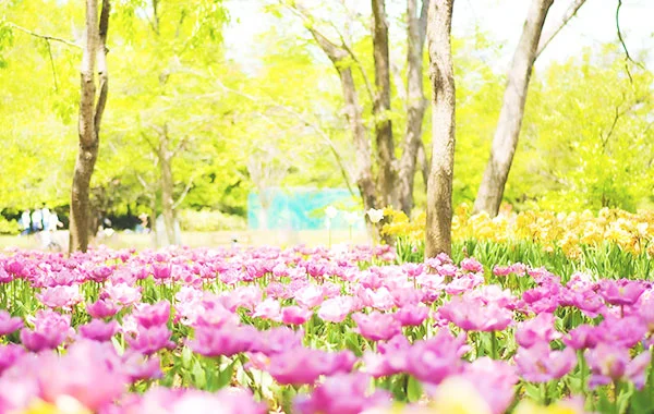 稼げる💰深い渓谷を抜けた先にある、白骨温泉【リゾートバイトで、季節の移り変わりを感じよう】9月スタート！時給:1500円🙌