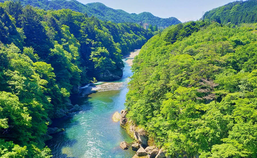 求人メイン