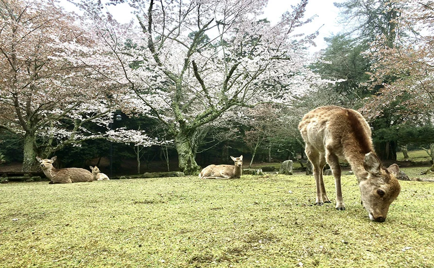 求人メイン