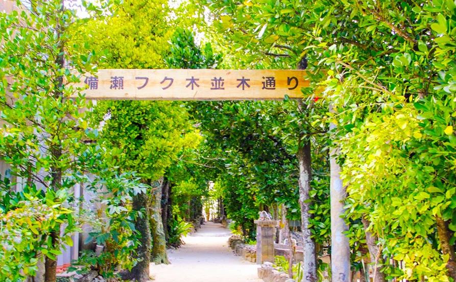 求人メイン