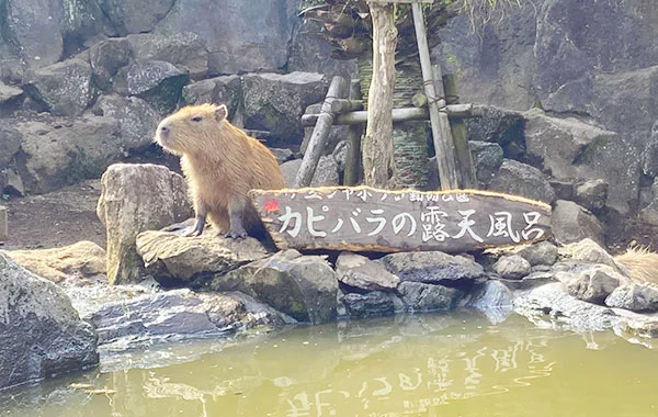 求人メイン