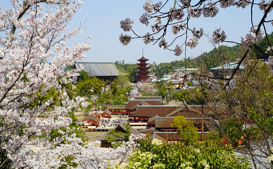 求人メイン