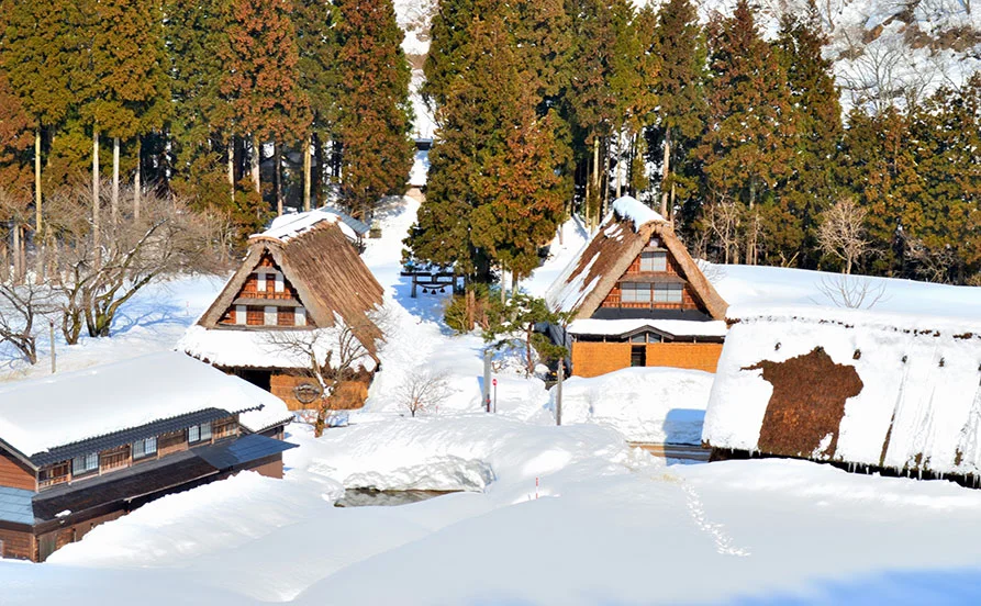 求人メイン