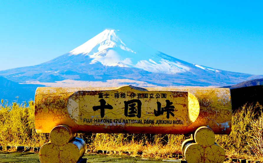 求人メイン