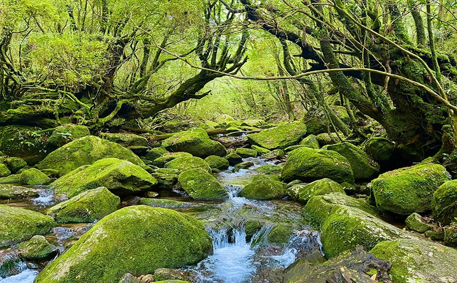 求人メイン
