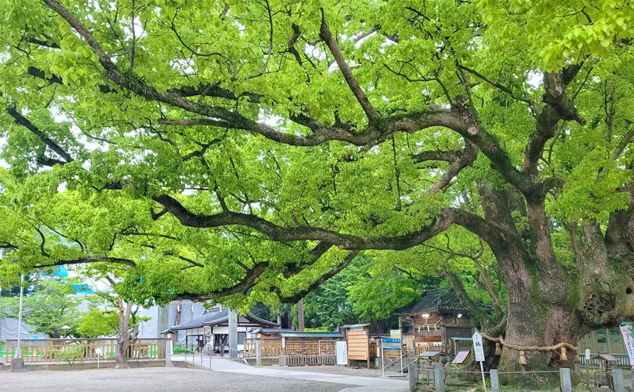 求人メイン